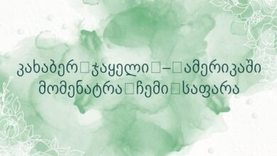 კახაბერ ჯაყელი – ამერიკაში მომენატრა ჩემი საფარა